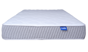 Nova - Image 3